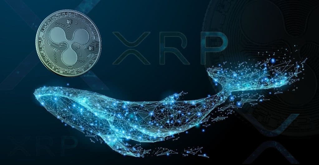 Trotz SEC-Klage, Ripple berichtet starke XRP Wal Akkumulation